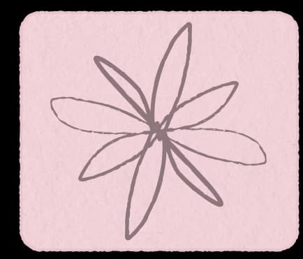 startupdecoration